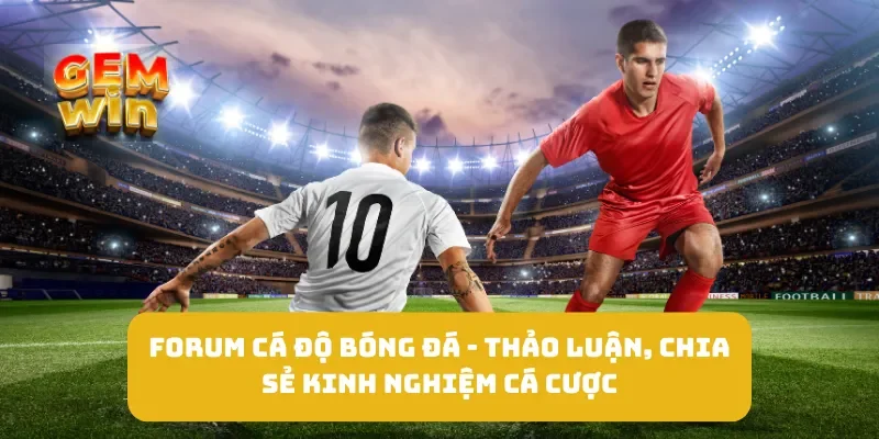 Forum Cá Độ Bóng Đá - Thảo Luận, Chia Sẻ Kinh Nghiệm Cá Cược 2 Forum Cá Độ Bóng Đá - Thảo Luận, Chia Sẻ Kinh Nghiệm Cá Cược
